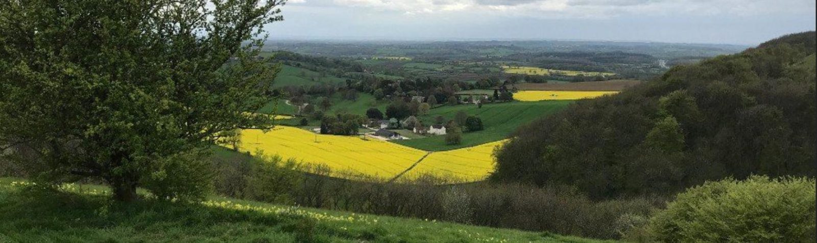 A view over the fields